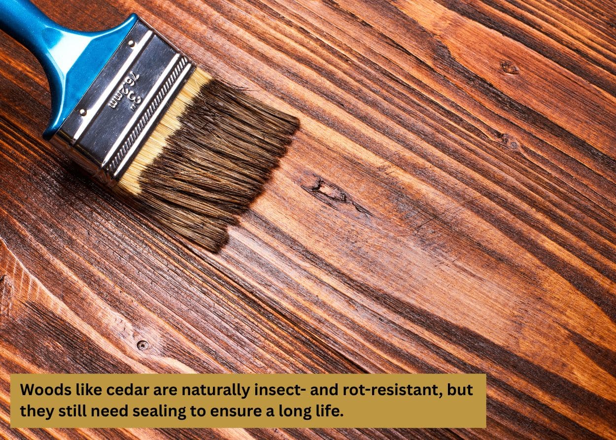 Woods like cedar are naturally insect- and rot-resistant, but they still need sealing to ensure a long life.